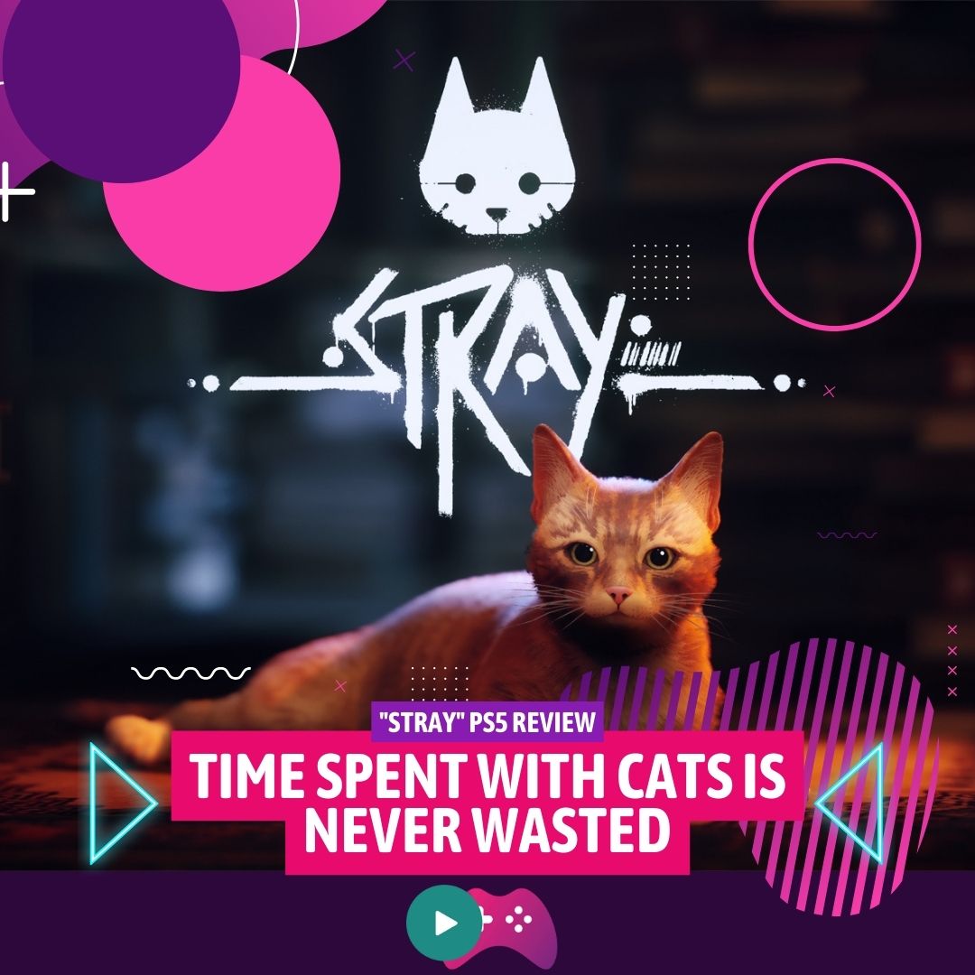 Stray' on PS5: What We Know About the Cyberpunk Cat Simulator